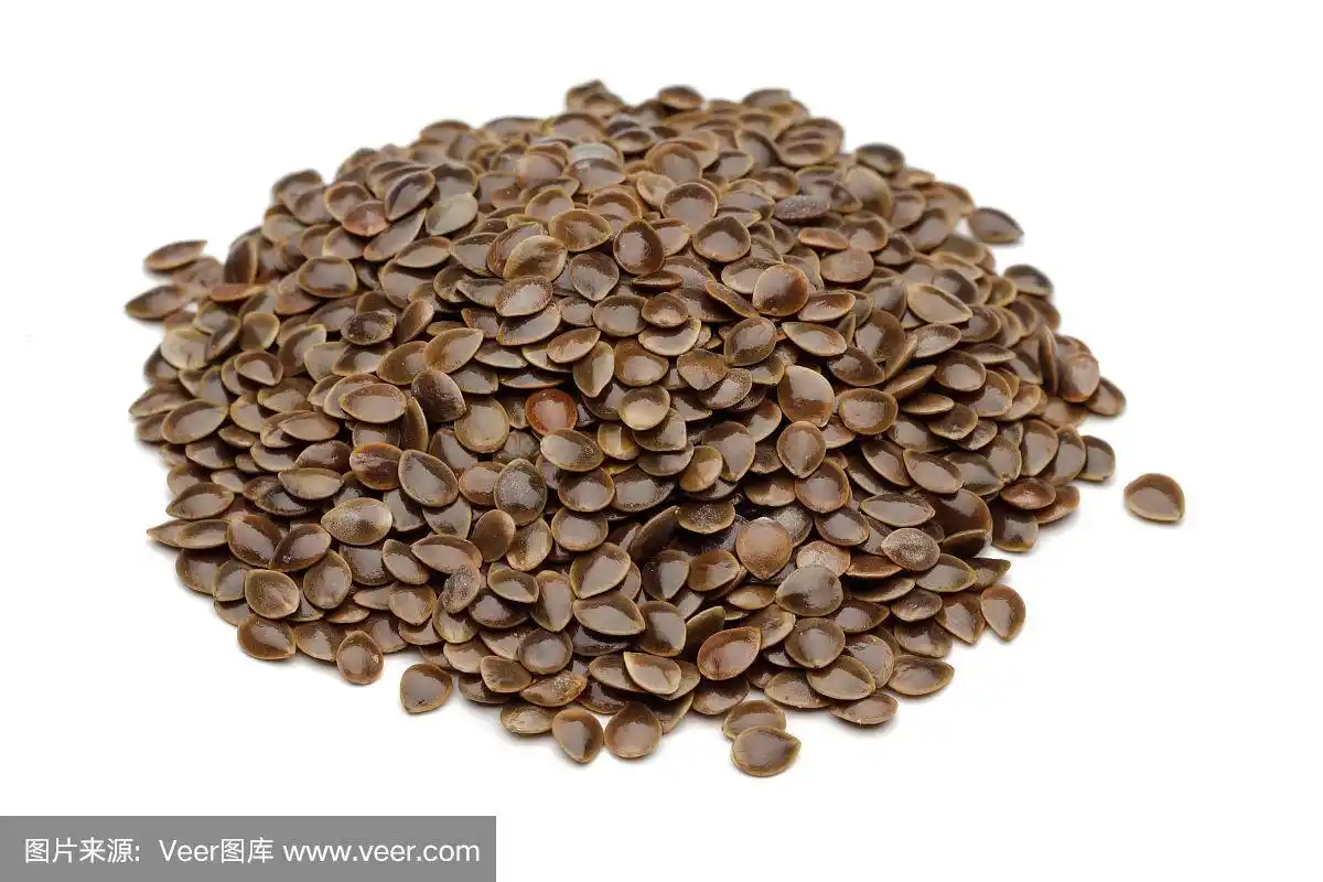 一堆孤立在白色上的荨麻种子