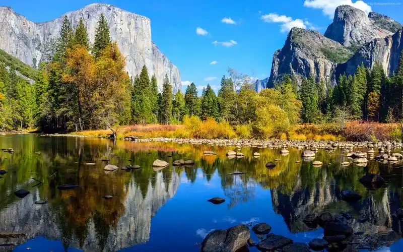 地点优胜美地国家公园自然风景山水植物树木yosemitenationalpark