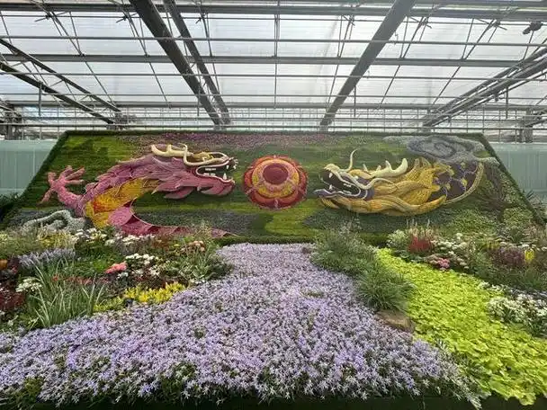 内附美图!北京春季花展开幕,这些新品种首发