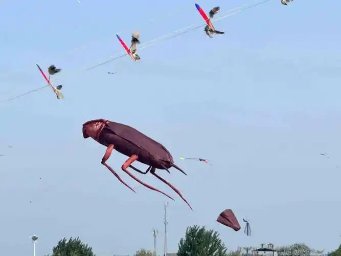 潍坊风筝节惊现各式奇葩风筝 有淘宝商家把"前男友"放上天_即时新闻_