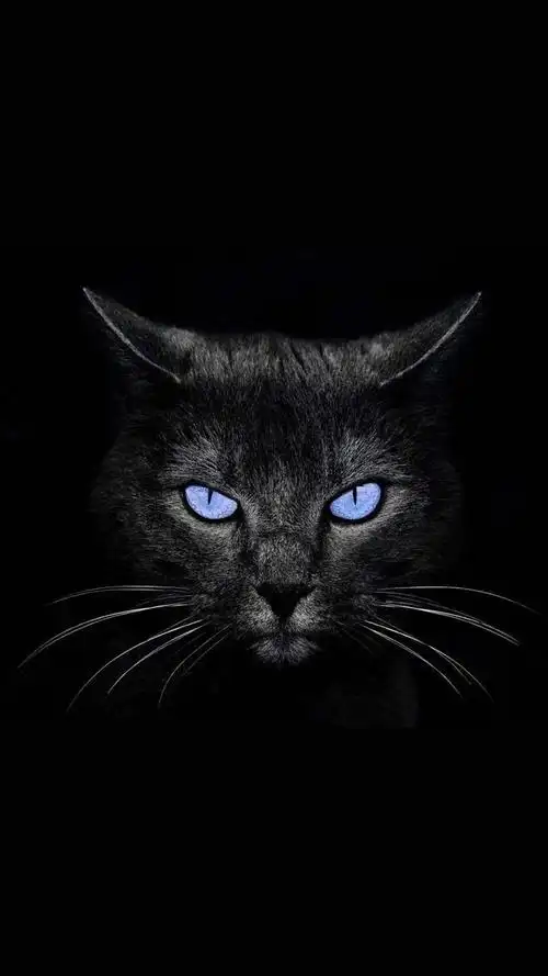 手机壁纸高清黑色背景壁纸个性锁屏