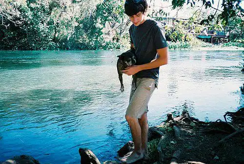 栀香如酥的相册-最后的问候