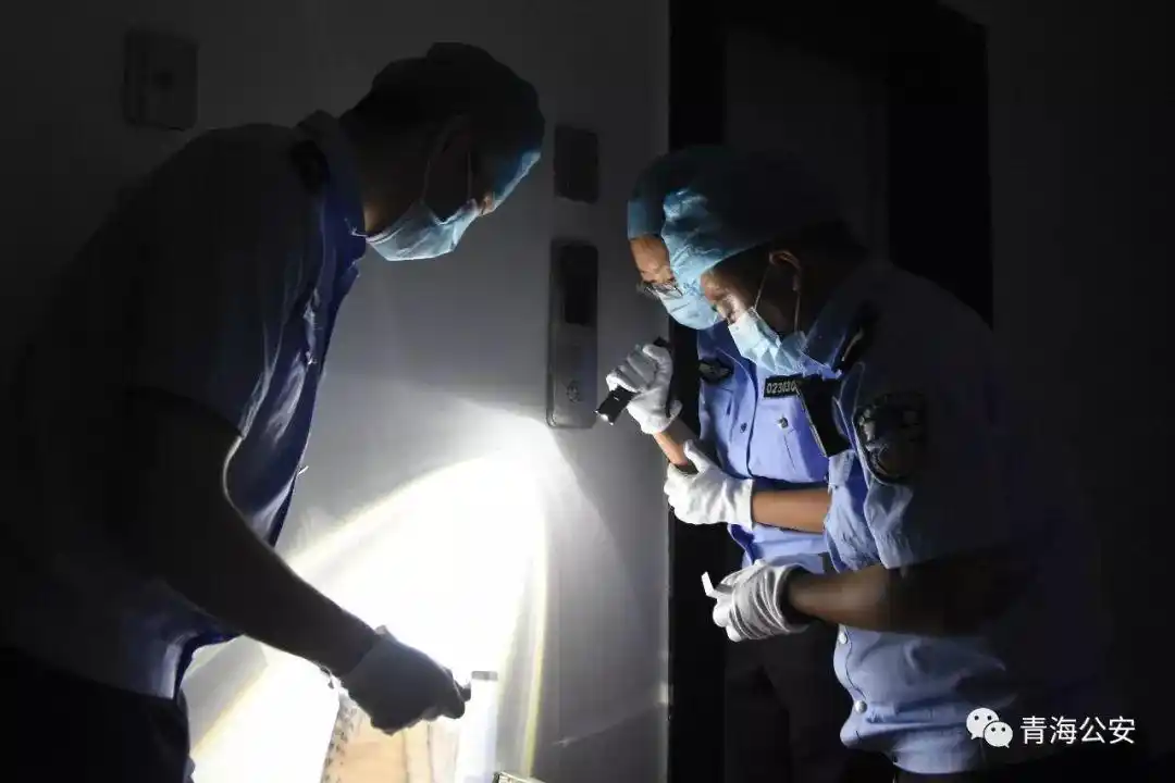 全国第一!2019年青海现行命案破案率达100%