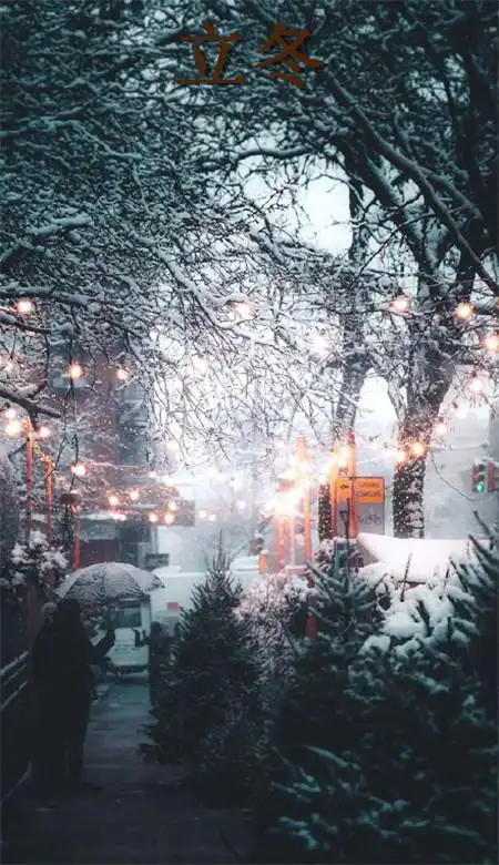 立冬手机壁纸图片唯美雪景2021 今日立冬壁纸高清无水印-背景皮肤