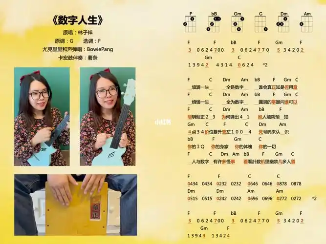 数字人生林子祥粤语尤克里里卡宏鼓