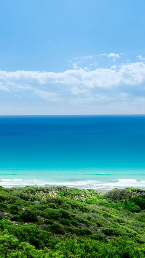 蓝色大海风景图 - 当图网