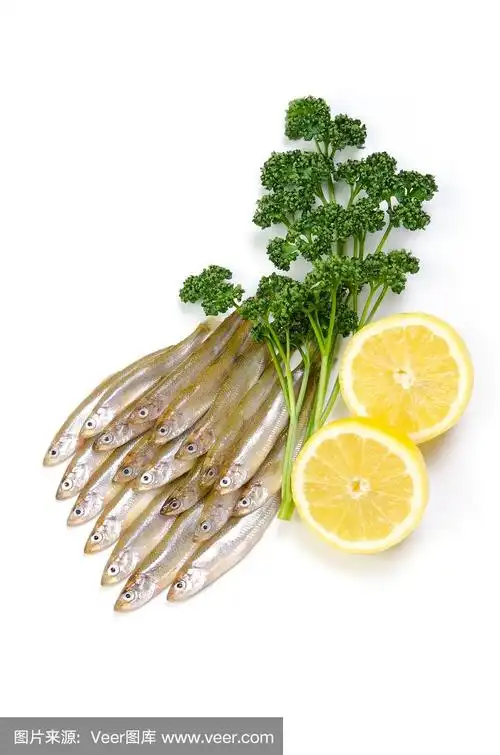 柳叶鱼,垂直画幅,膳食,海产,鱼类