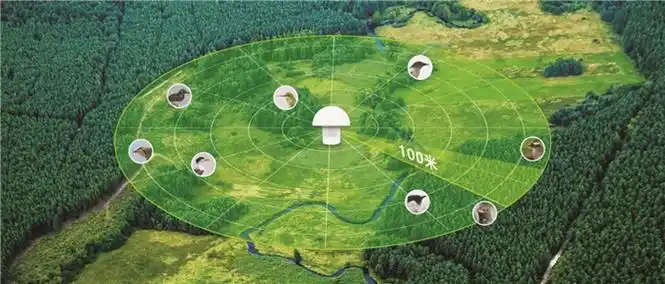 江苏常州智慧守护筑牢野生动植物保护屏障