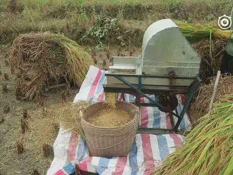 农村大叔新买的打谷机,能顶几个劳动力,几亩稻谷轻松搞定