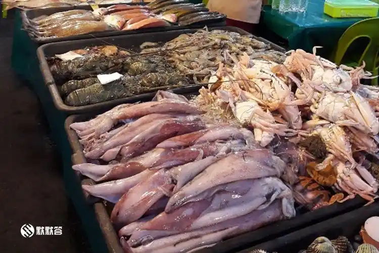 原创在沙巴亚庇要最便宜最新鲜吃海鲜当然就是直接去菜市场买啦