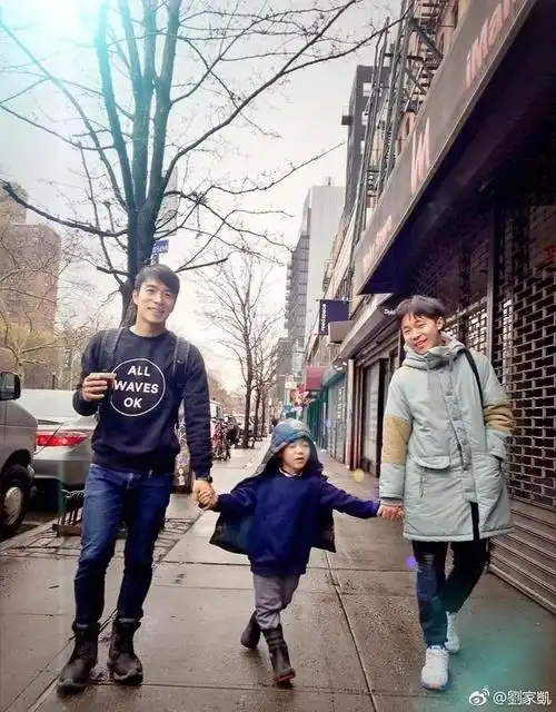 刘家凯,刘家凯儿子,吴青峰