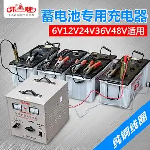乐牌12v汽车电瓶充电器摩托车蓄电池充电器纯铜大功率24v伏通用
