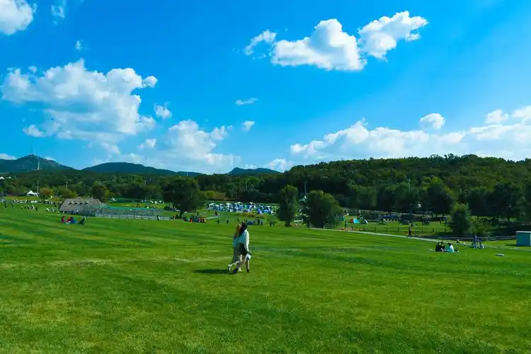 蓝天白云绿草地 - 麻吉魔法