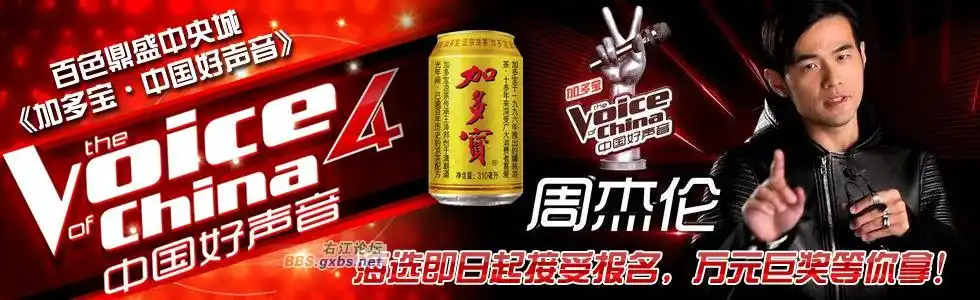 百色鼎盛中央城《加多宝·中国好声音》海选即日起接受报名,万元巨奖
