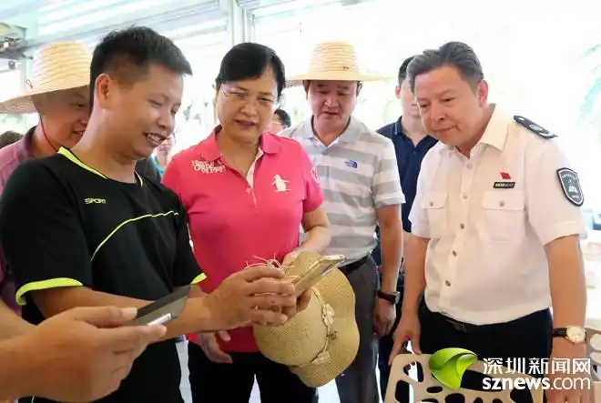 区委书记杜玲率队深入辖区开展国庆期间安全生产大检查