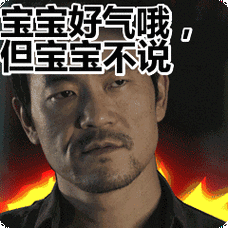 宝宝好气哦但宝宝不说表情包