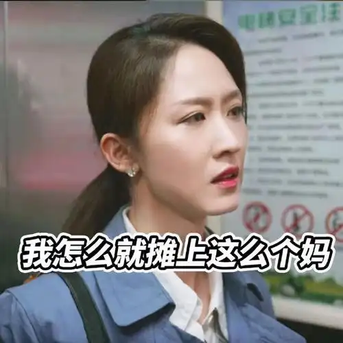 老婆那么好##警察荣誉曹建军丈母娘#一组周慧@张雯的怼人表情包来了!