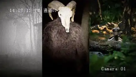 山羊人,恐羊症,为什么有人会害怕山羊,网络热门生物鉴定,11