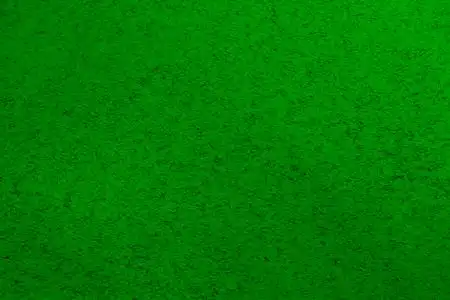 时尚的深绿色抽象背景与小黑色混沌散落的绒毛照片