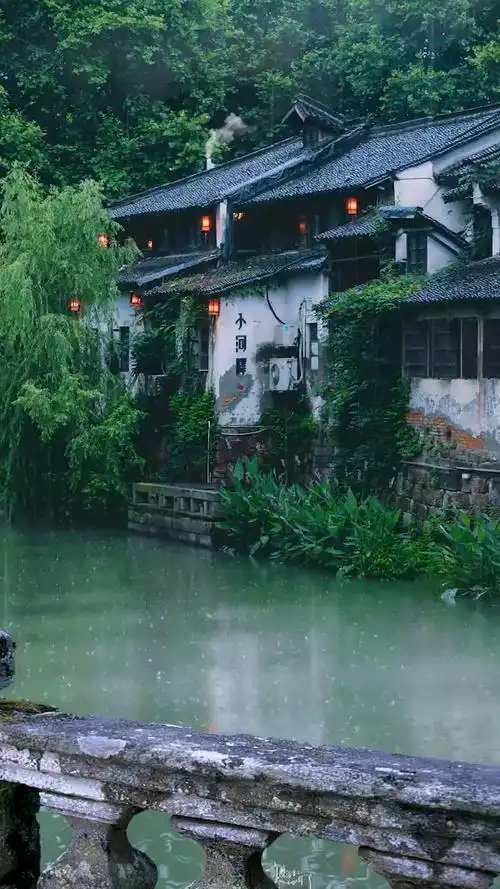 #江南烟雨#看雨是一种解压,听雨是一种宣泄.黛色霜青的江南,真是美极