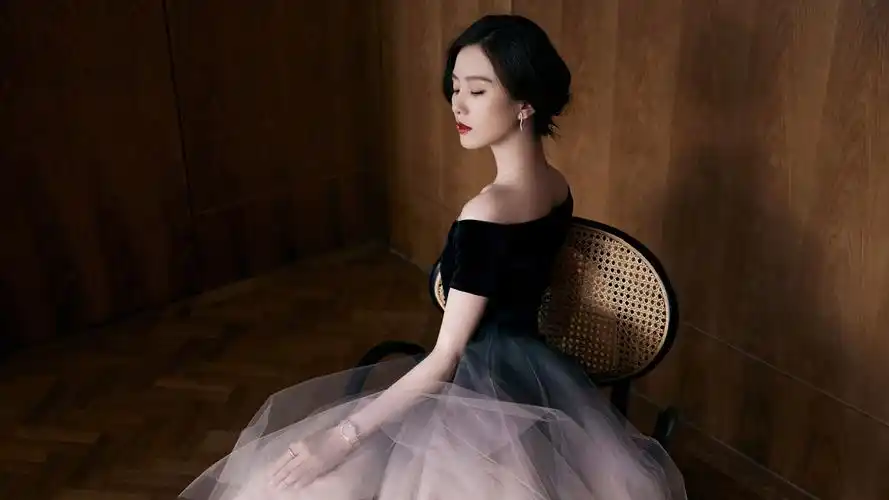 高清侧脸美女壁纸,气质女神刘诗诗精选,免费下载!