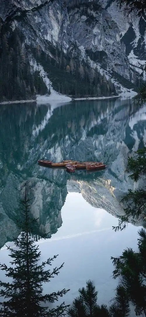 一组爆火火火的高清壁纸好不好看你们说了算我认输