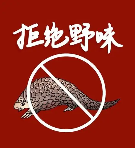 迪庆州林业局:禁止非法捕猎,食用野生动物!