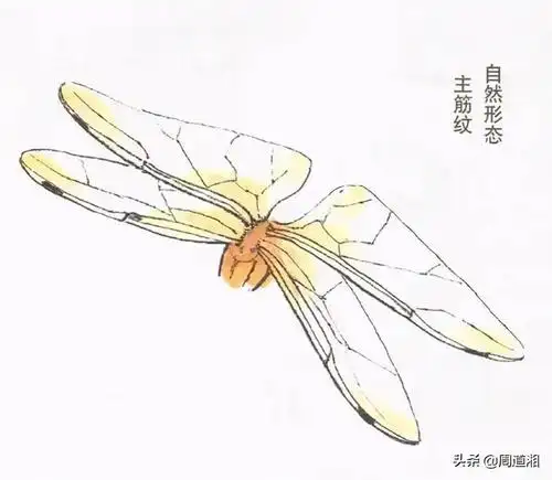 最美国画 12-09 08:22 订阅 点击查看更多订阅内容> 工笔蜻蜓画法