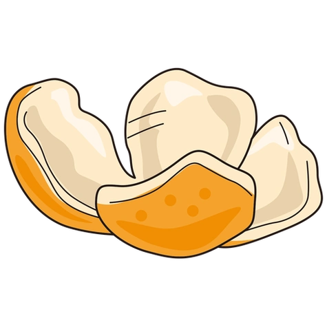 橘子皮彩色简笔画