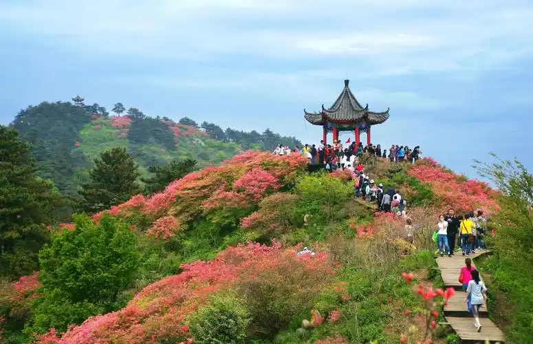 湖北五一假期旅游景点推荐龟峰山旅游攻略低音号免费语音导游