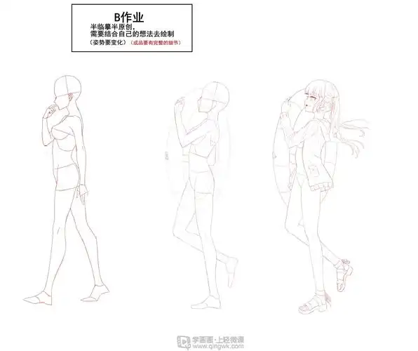 侧面的人体结构和细化