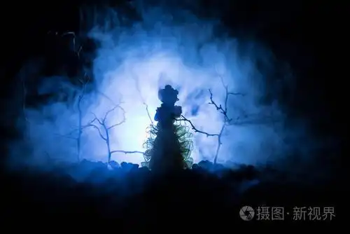 单独的女孩, 在夜间森林中的光, 或色调雾在森林的夜晚.