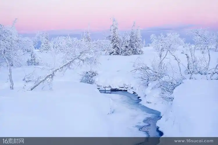被皑皑白雪覆盖的纯白世界高清摄影图片