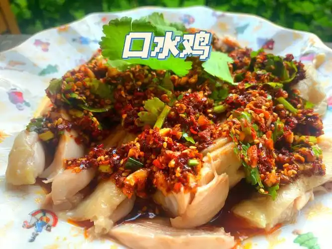 9990德国留学生非糊弄学凉菜食谱——口水鸡