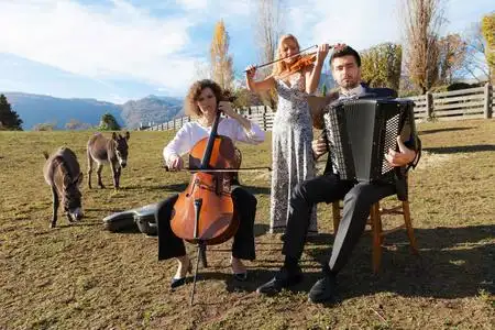 三重奏的音乐家图片