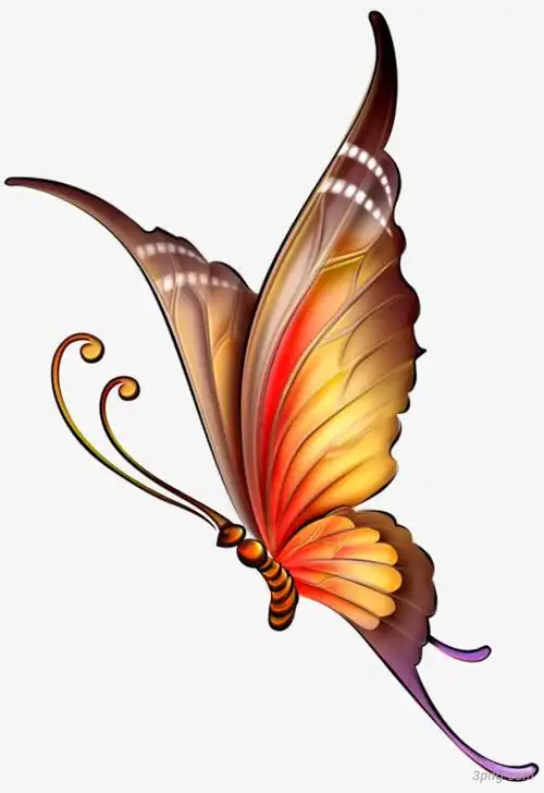 花蝴蝶蝴蝶 手绘蝴蝶 卡png素材透明免抠图片-动植人物