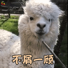 羊驼不仅外表软萌,还能助人类击败流感!不愧为咱们的"神兽"呀!