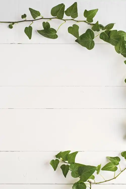 视频简图素材-视频简图图片-视频简图素材图片下载-觅知网