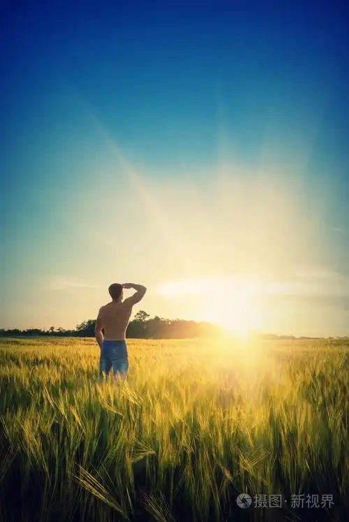 在麦田中的男人