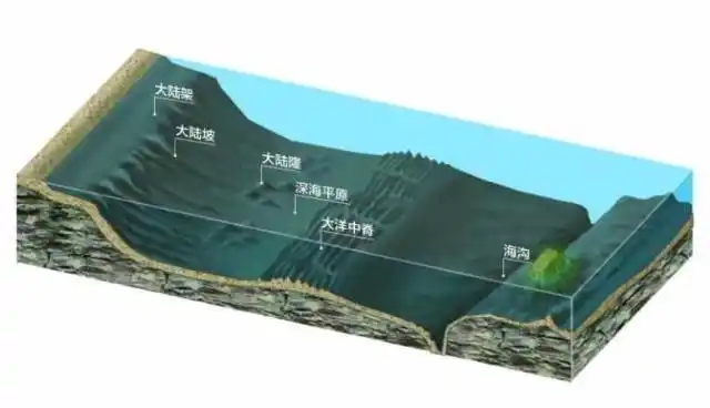 距离大陆较远,在洋底相对突出的海底地形是?