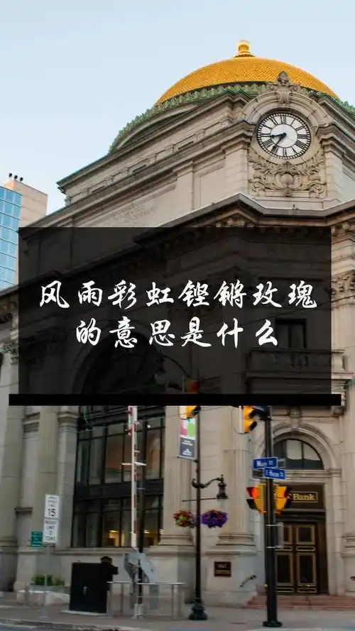 风雨彩虹铿锵玫瑰的意思是什么