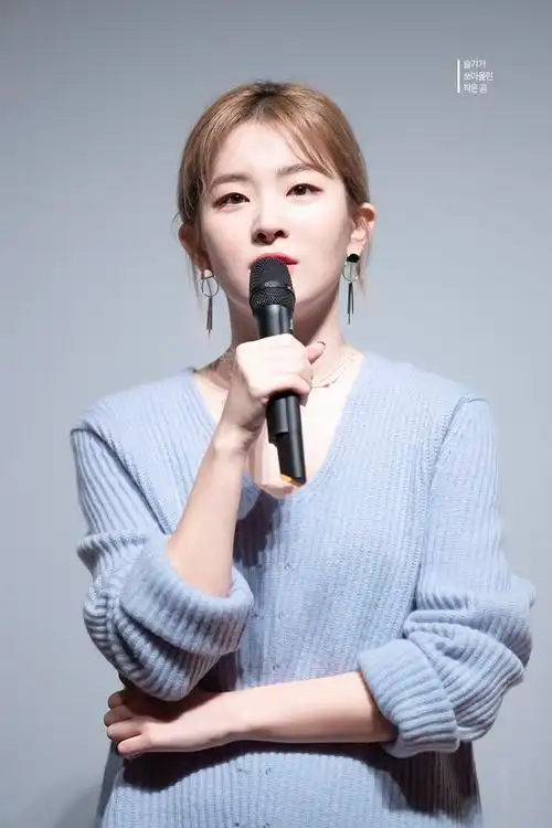 redvelvet姜涩琪seulgi