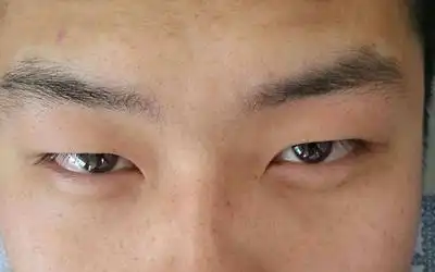 丹凤眼男生好不好(丹凤眼是极贵之人)-风水人