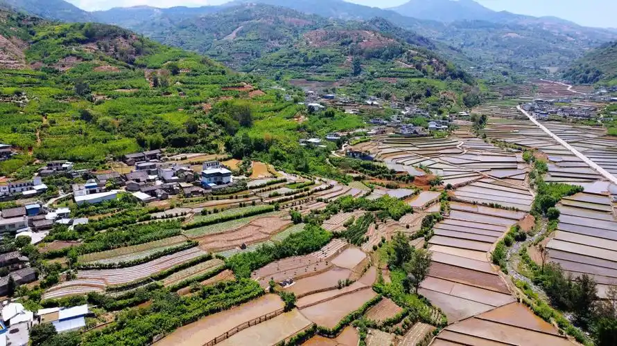 c视频|攀枝花盐边县:江河渐满日 插秧正当时_腾讯新闻