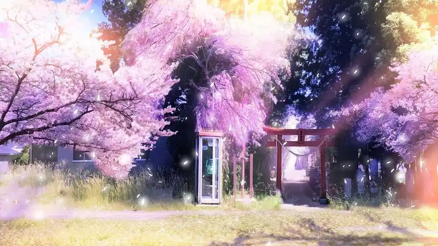 樱花(风景静态壁纸) - 静态壁纸下载 - 元气壁纸