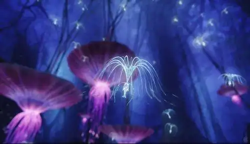 "阿凡达"我的第一次感动 - 乐乐的宝贝的日记-babytree 宝宝树