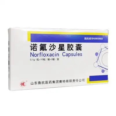 薄膜衣武汉东信医药科技有限责任公司医保对码医保盐酸左氧氟沙星片