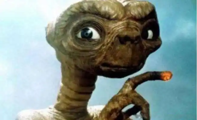 七个外星人真正照片外星人是什么样子的照片