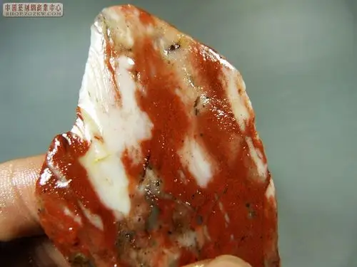 【石器时代】——3.15~~20:00有上石~(敬请关注)