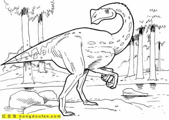 11张4到12岁男孩子最喜欢的恐龙涂色图片免费下载-红豆饭小学生简笔画